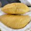 Mao Shan Wang, Legenda Durian Musang King dari Pahang
